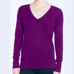 Halogen Pure Cashmere V-Neck Purple Pullover Long Sleeve Sweater